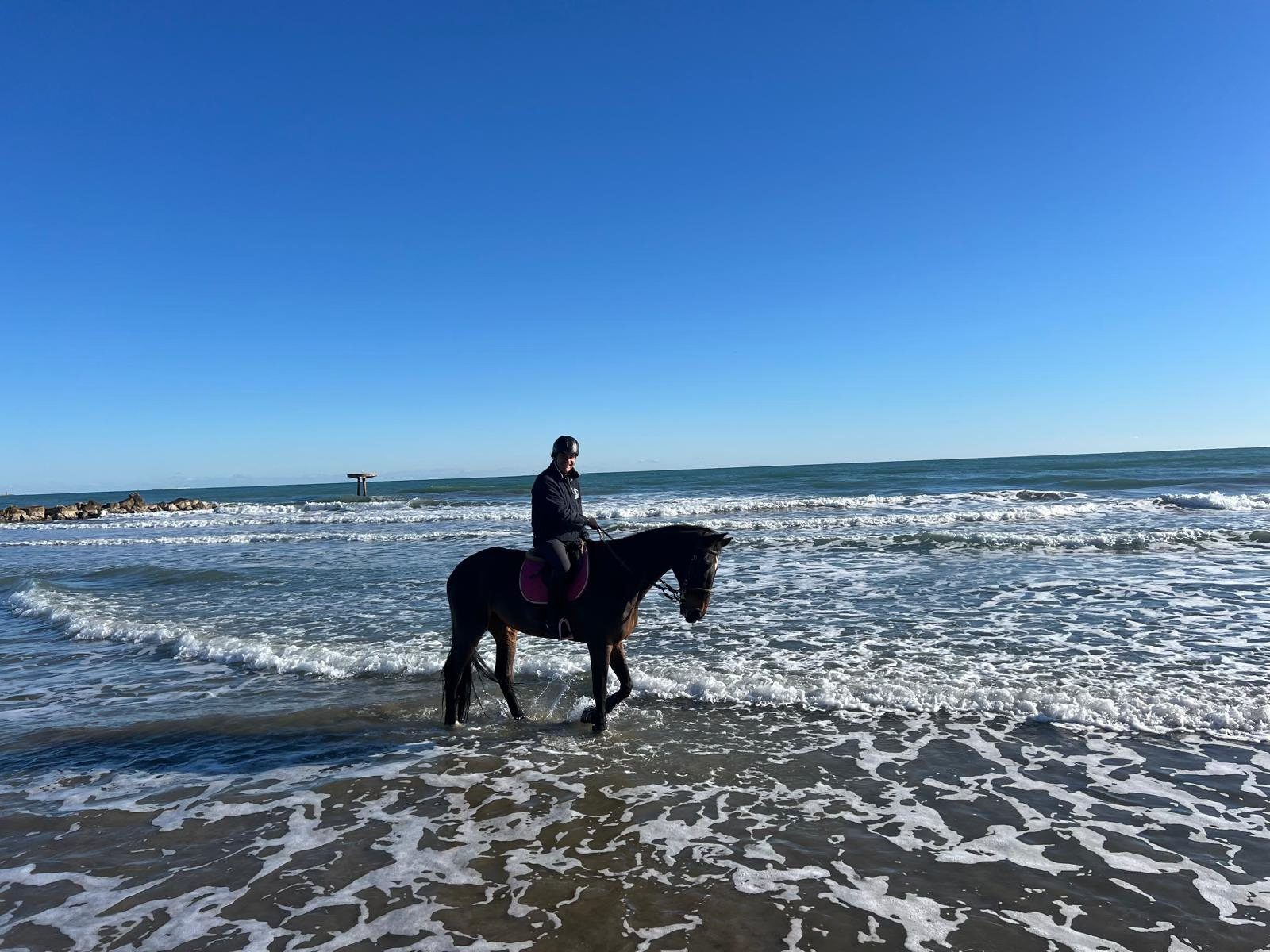 Cavallo e cavaliere tra le onde sulla spiaggia del Lido