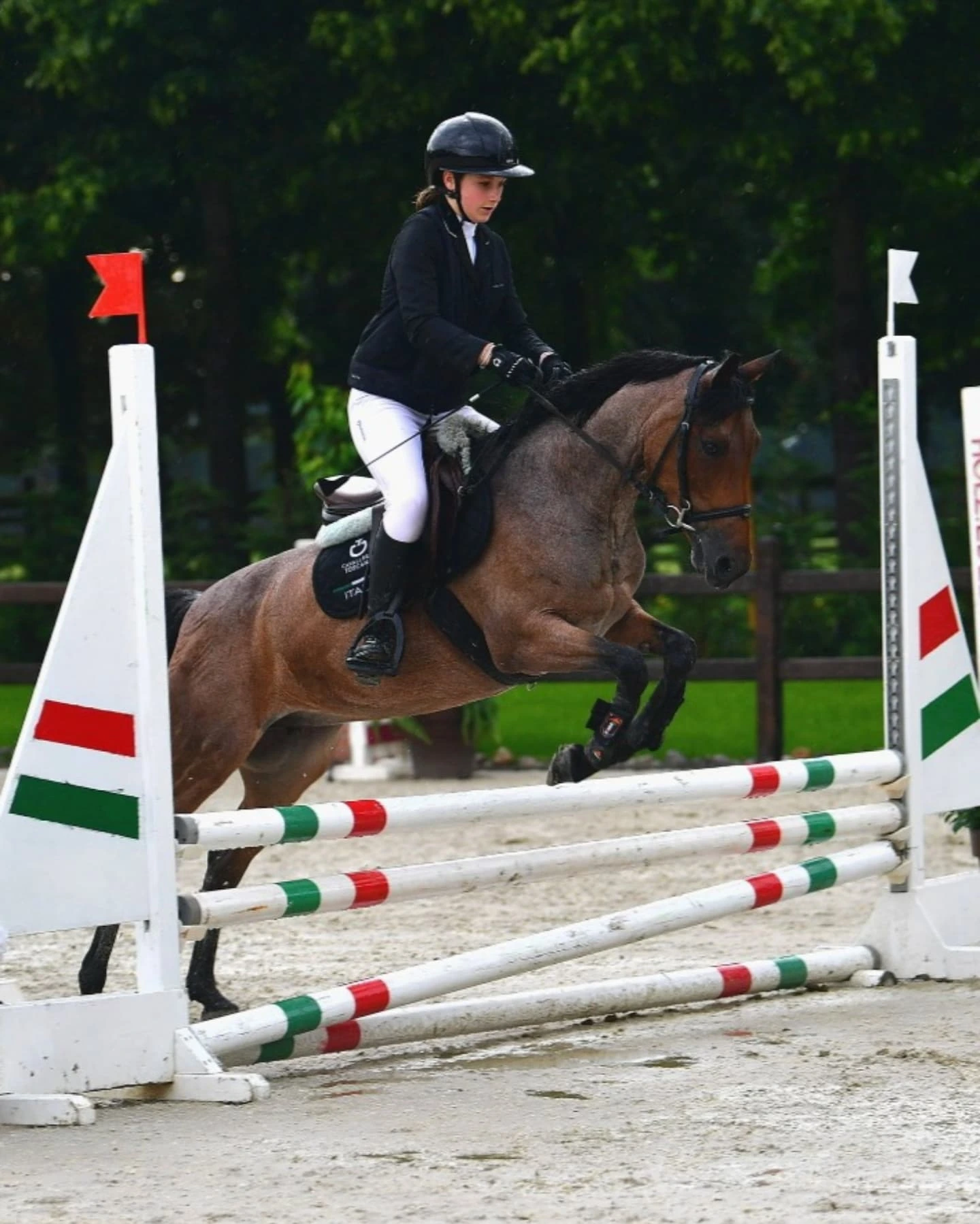 Amazzone e cavallo durante una gara di salto ostacoli