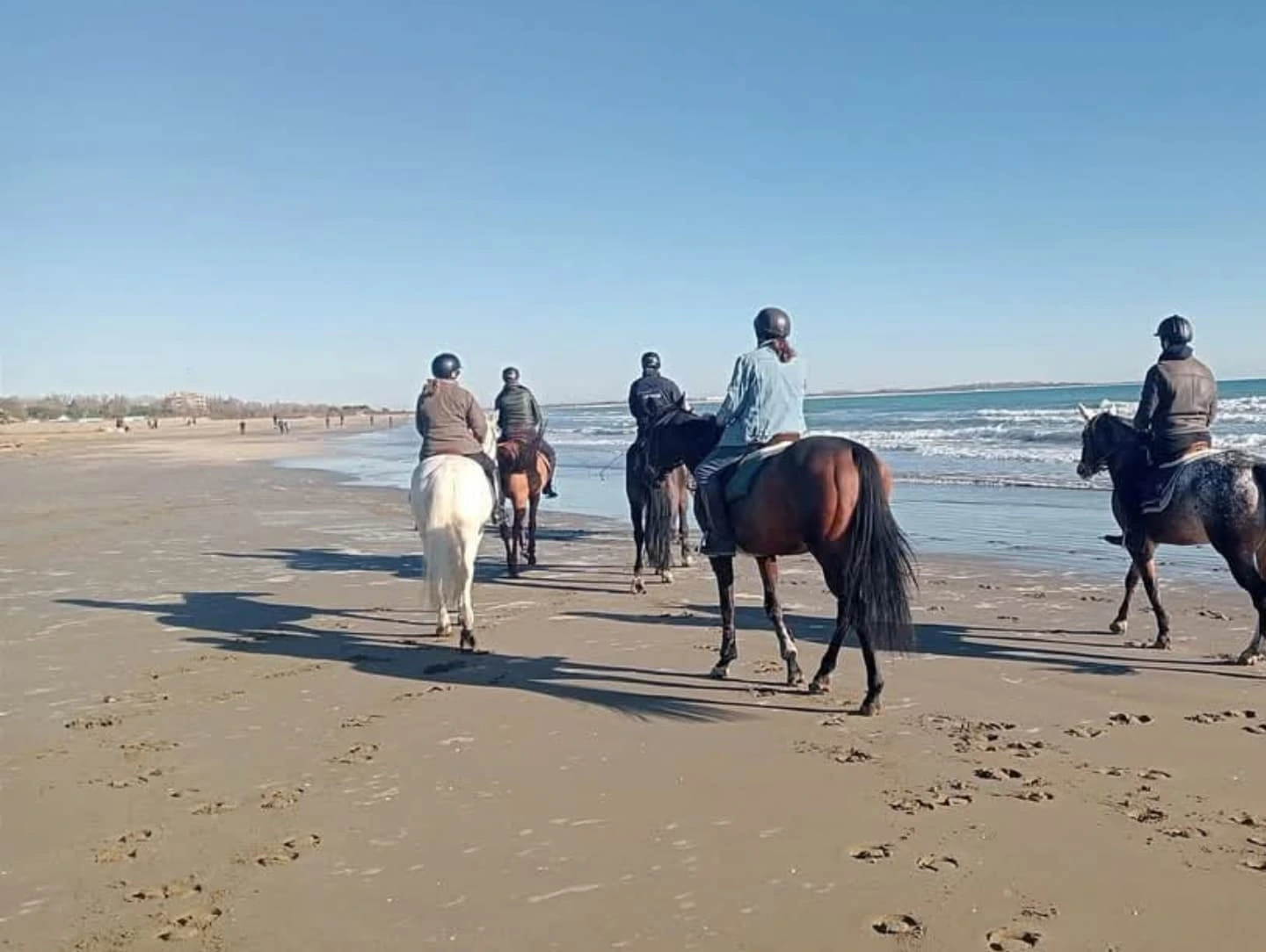 Gruppo di cavalieri in fila sulla spiaggia del Lido di Venezia