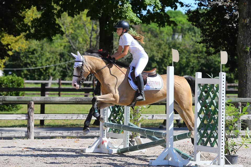 Cavallo e cavaliere durante un salto ostacoli