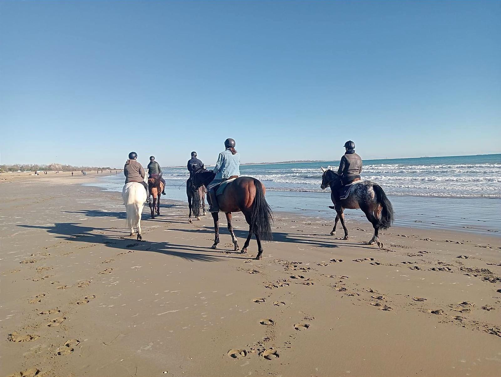Group horse ride on the Lido di Venezia beach